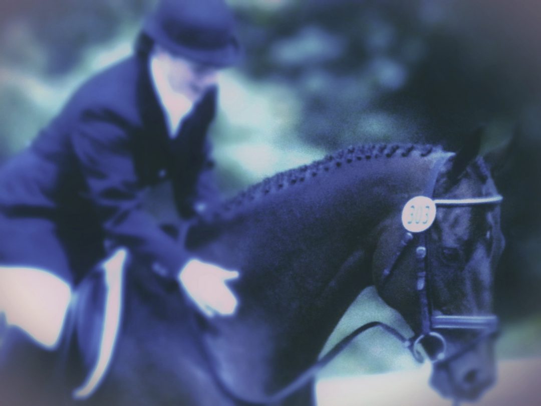 How to Braid a Horse's Mane