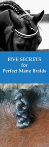 FREE VIDEO & RESOURCE LIBRARY - BRAID SECRETS