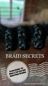 Digital Guide for Mane & Tail Care and Hunter Mane Braiding