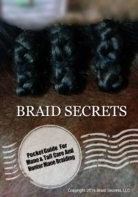 Digital Guide for Mane & Tail Care and Hunter Mane Braiding