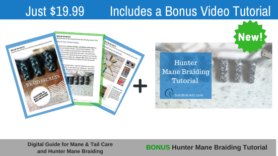 2020 Digital Guide Hunter Mane Braiding