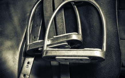 Best Equestrian Tack and Horse Care Items