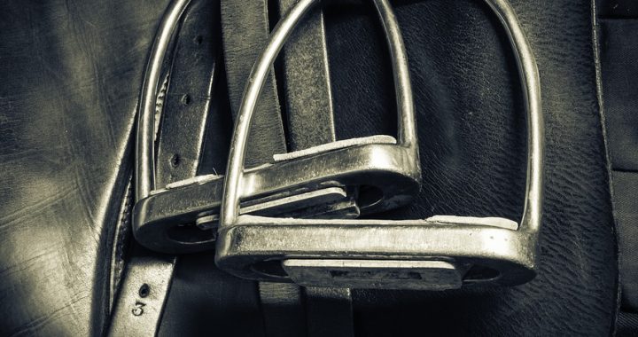 Best Equestrian Tack and Horse Care Items