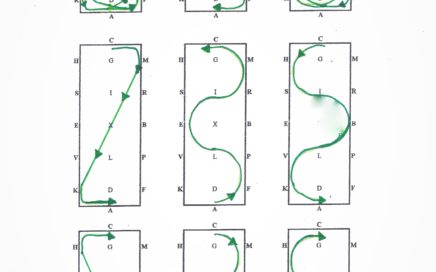 Crazy thing my horse did after learning this warmup