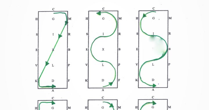 Crazy thing my horse did after learning this warmup