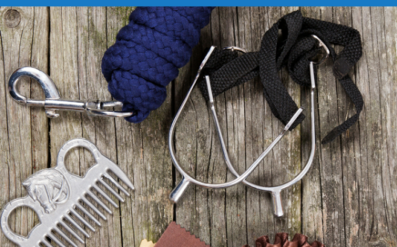 Find out why these are my favorite equestrain things