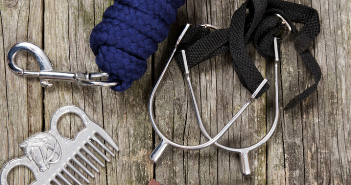 Find out why these are my favorite equestrain things