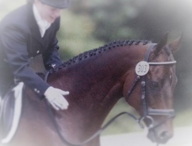 Learn the Secrets of Perfect Mane Braids