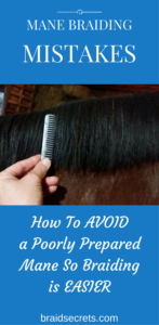 Make Braiding Easier with Good Mane Preparation