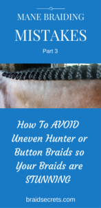 HOW TO AVOID UNEVEN MANE BRAIDS – Braid Secrets