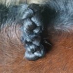 Just snug braid down to neck for flatter bumps