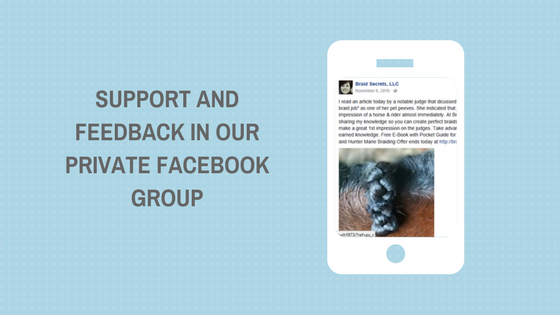 Mane Braiding Secrets Support