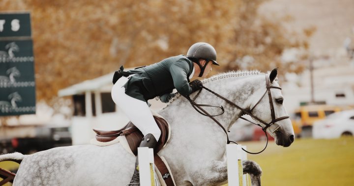 Discover how to avoid loose mane braids