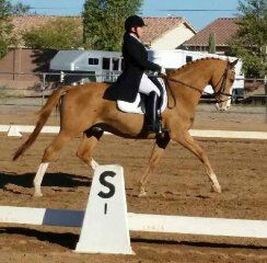 Button Braid Success