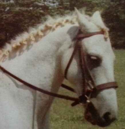 My Crappy Braids Before I Learned my Braid Secrets