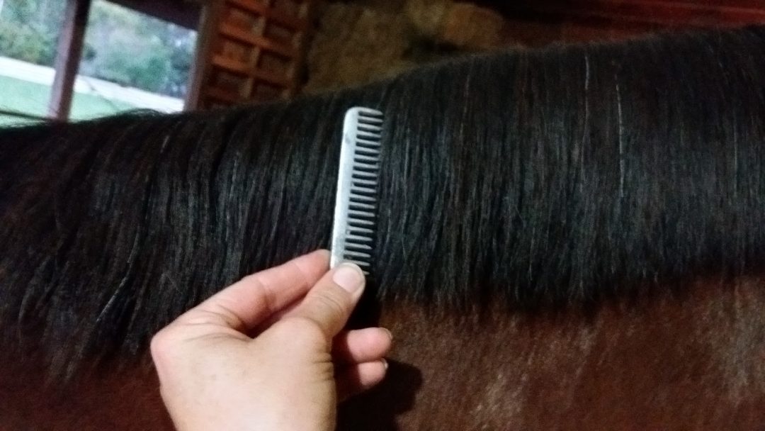 20161005 192845 RichtoneHDR