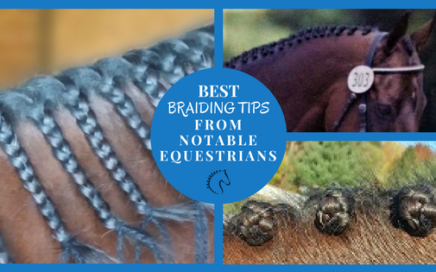 Mane Braiding Tips from Notable Equestrians