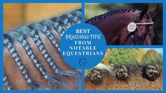 Mane Braiding Tips from Notable Equestrians