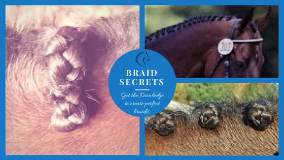 Get Free Mane Braiding Resoursces at braidsercrets.com