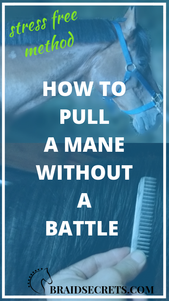 HOW TO PULL A MANE WITHOUT A BATTLE Braid Secrets