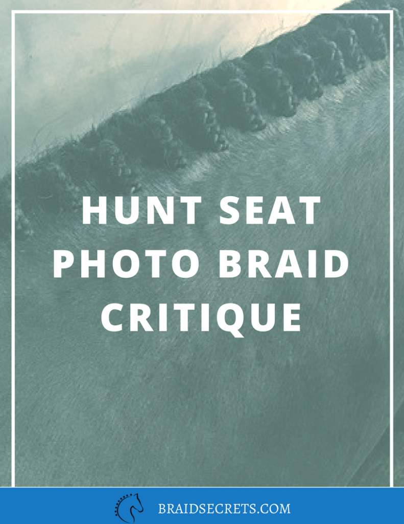 EXPERT EVALUATION OF HUNT SEAT MANE BRAIDS