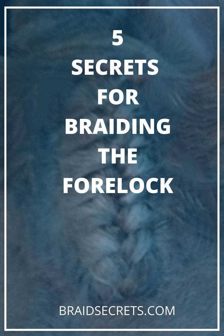 Expert Tips for Forelock Braiding
