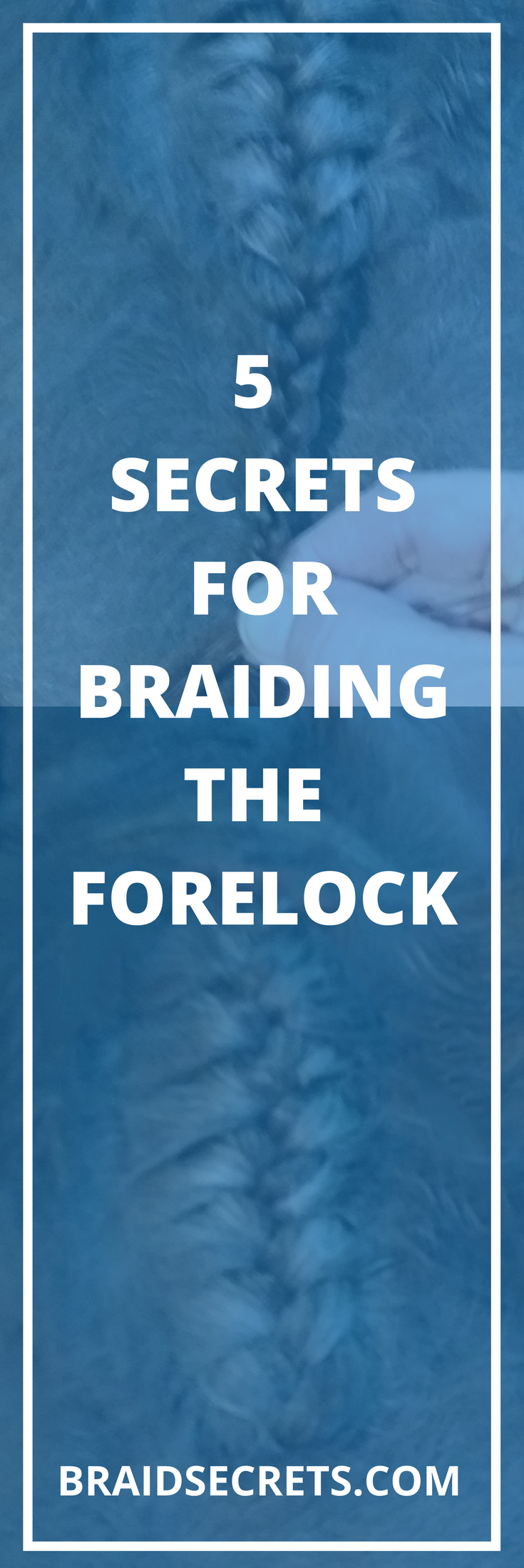 Forelock Braiding Secrets