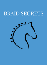 BRILLIANT MANE BRAIDING KIT AND BAG - Braid Secrets