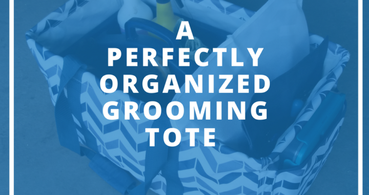HORSE GROOMING ORGANIZATIONAL TOTE