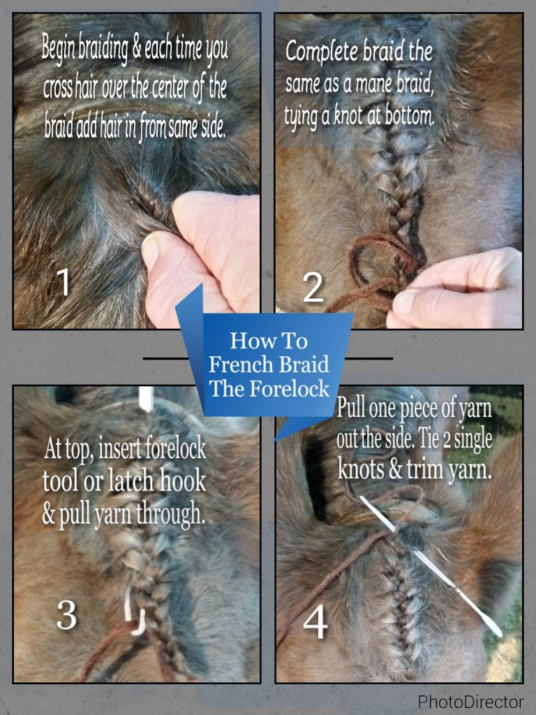 Horse Mane Braiding Tutorials Forelock Braiding Pictorial Craft Your