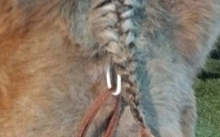 Forelock tool: Use for French braiding forelocks.