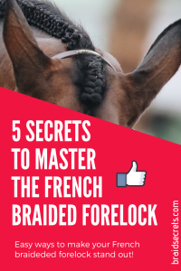 Forelock Braiding Tips