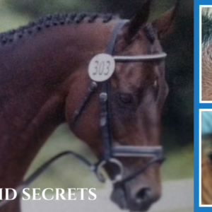 Braided Horse Mane: Braiding Workshop