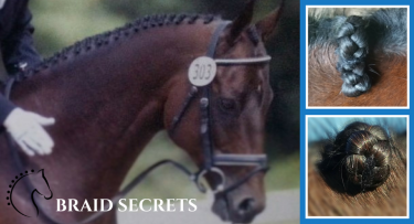 Braided Horse Mane: Braiding Workshop
