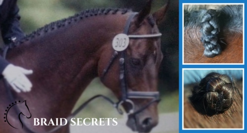 Mane Braiding Workshop for Equestrians