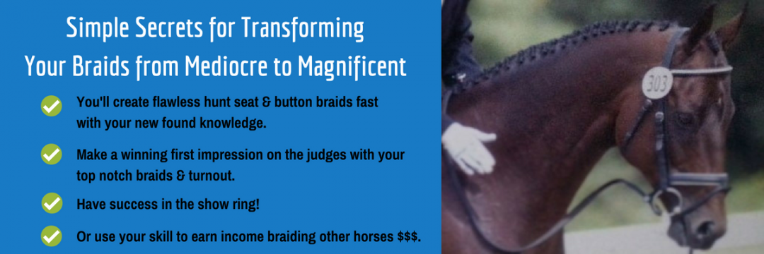 How to braid a horse's mane for competition.