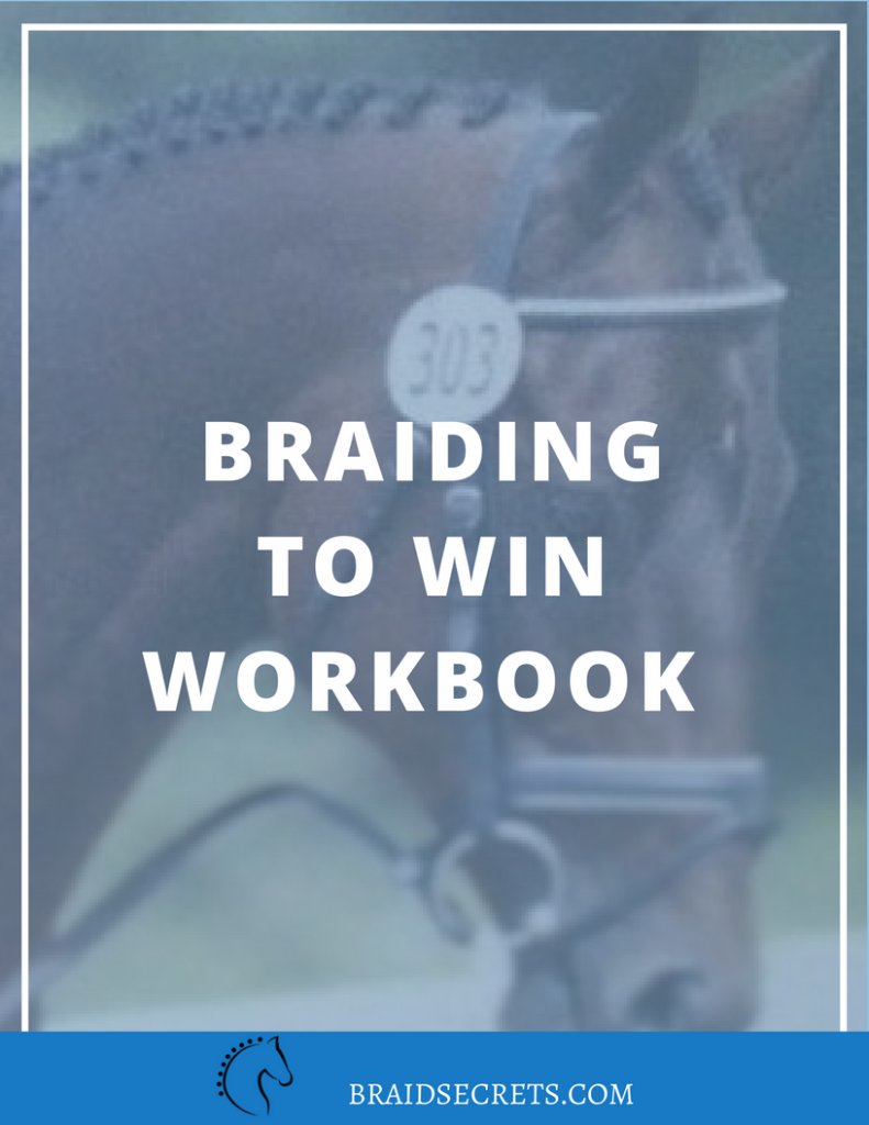 Mane Braiding Workshop Workbook