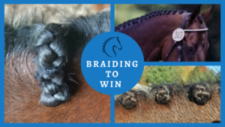 Learn how to braid a horses mane expertly - Mane Braiding to Win