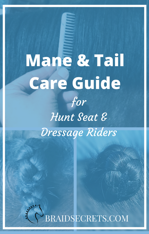 Expert Guide to Mane & Tail Care from braidsecrets.com