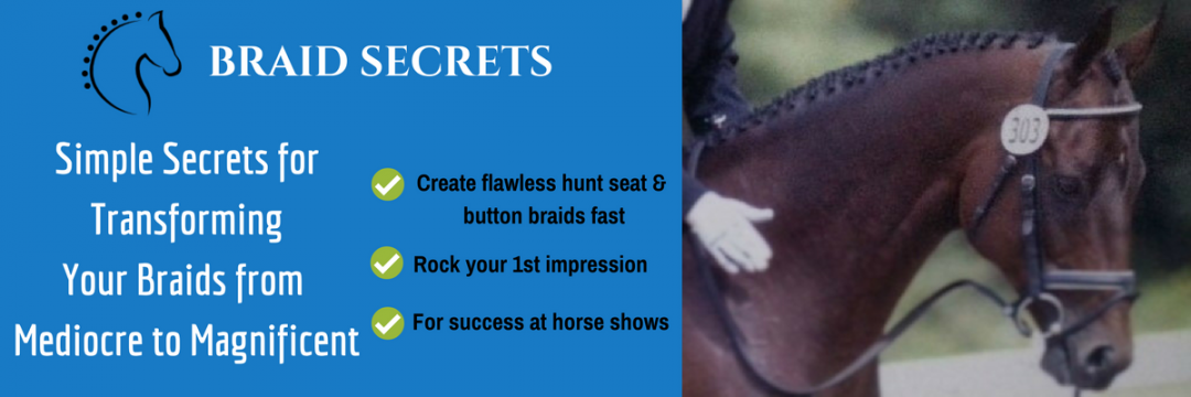 Braided Horse Mane Tutorials & Expert Tips for Riders