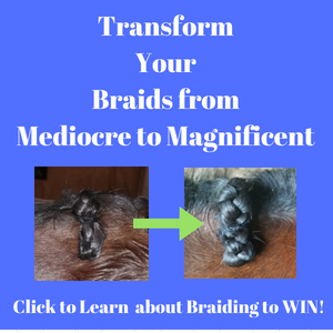 Mane Braiding To Win