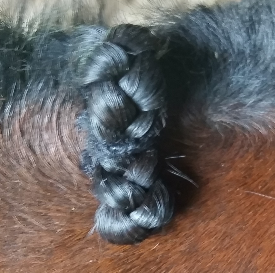 Hunter Braid Tutorials for Riders at braidsecrets.com