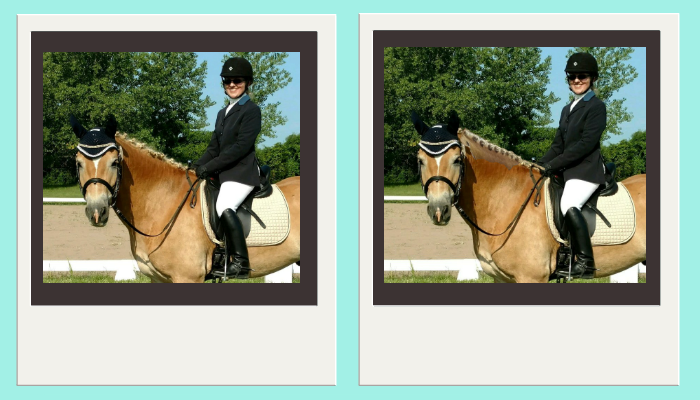 Photo magic - Impact Mane Braiding Secrets