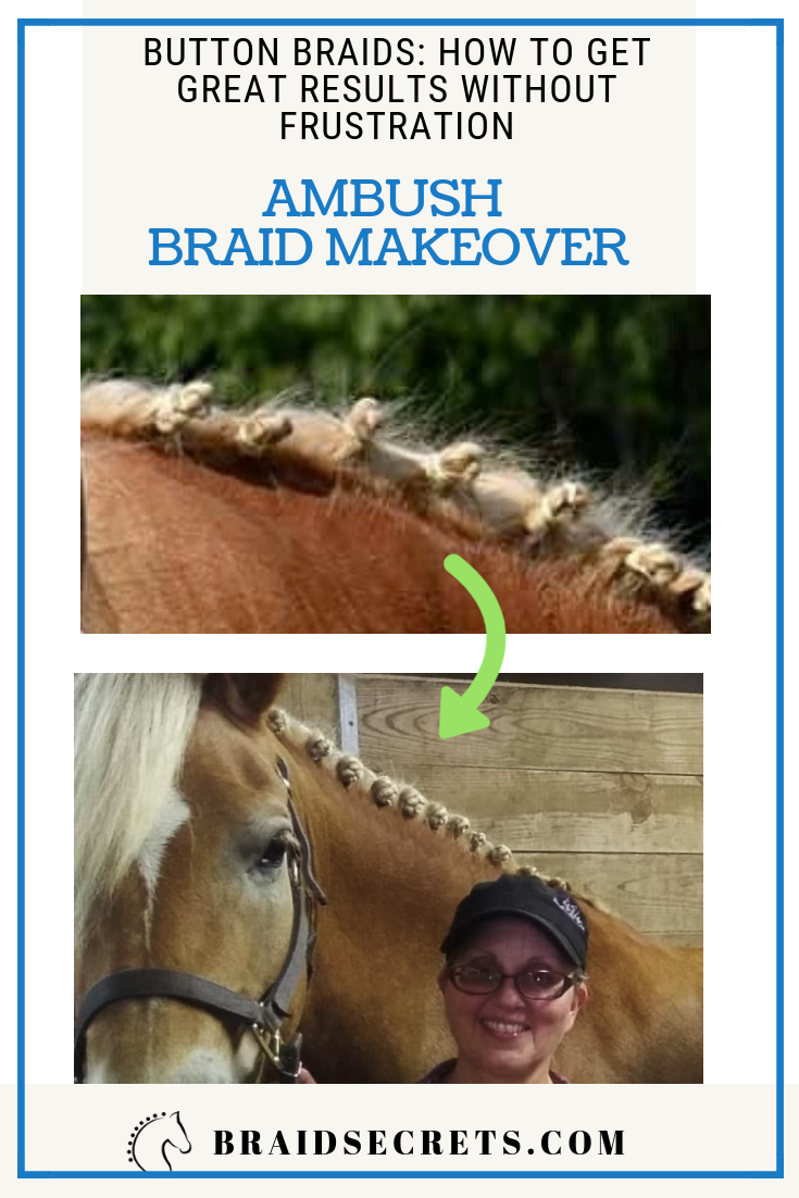 Dressage Button Braids - Expert tips and tricks