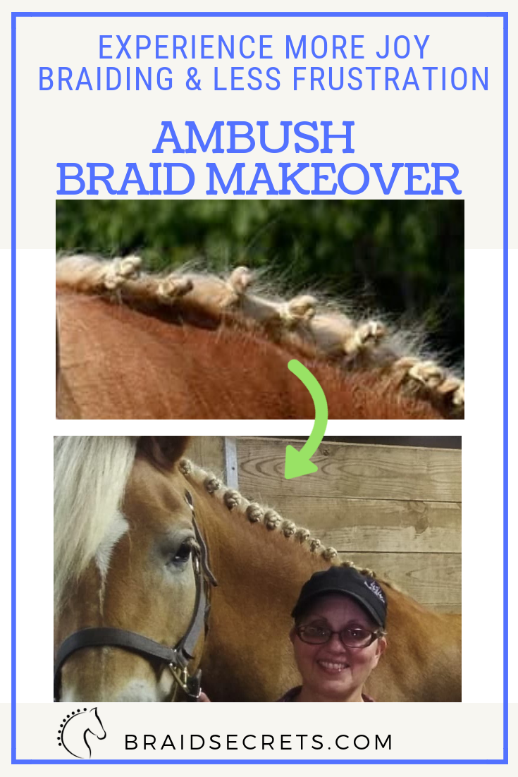 HOW TO DO DRESSAGE BRAIDS