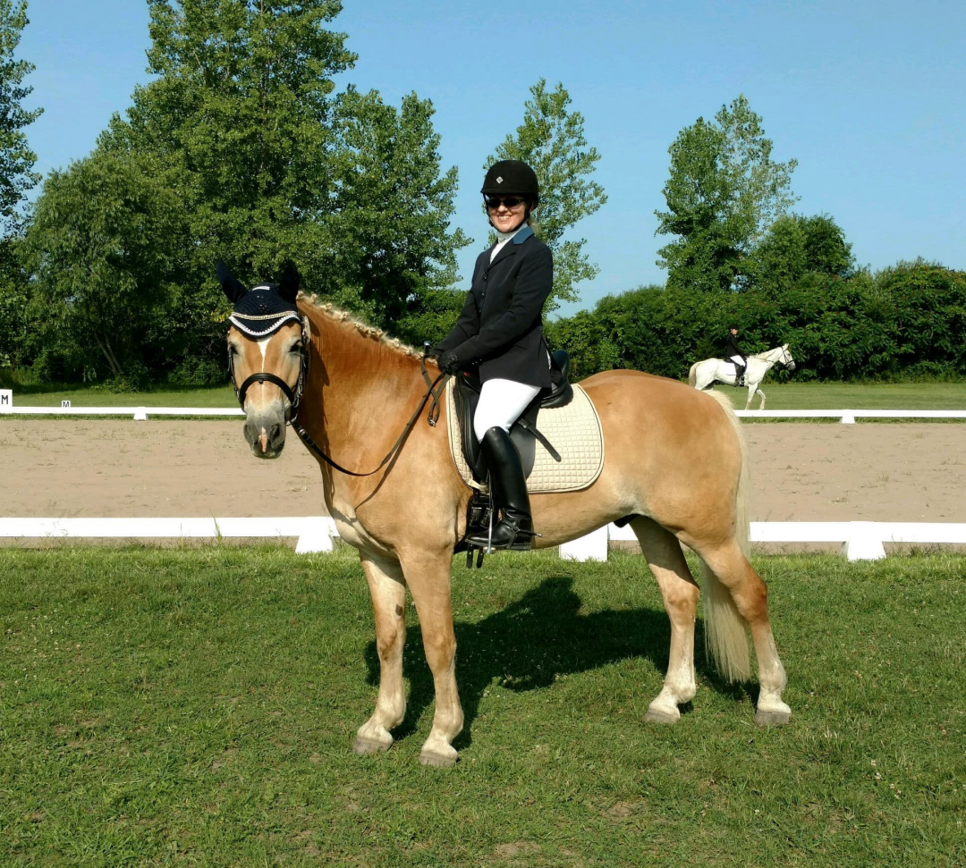 Dressage Braids Before Ambush Makeover