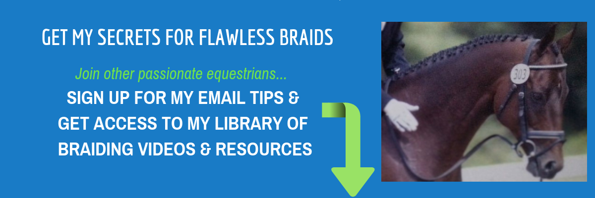 How to do hunter braids and how to do dressage braids