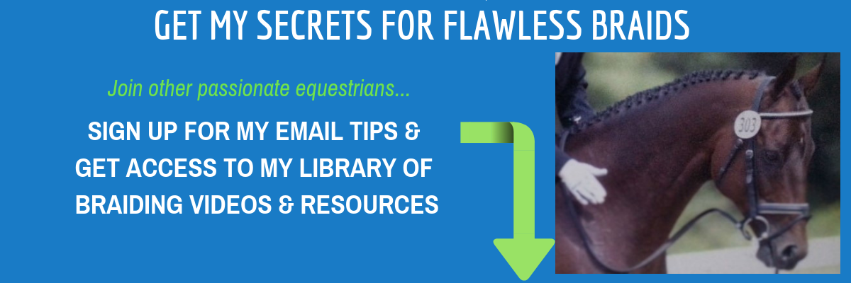 How to braid a horses' mane