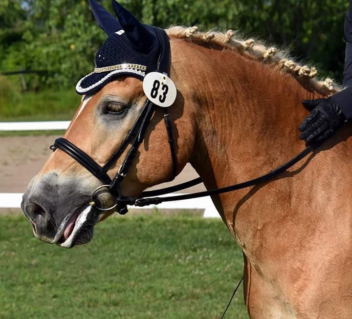 Before Braid Secrets