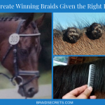 Guide to Braided Horse Manes - FAQs